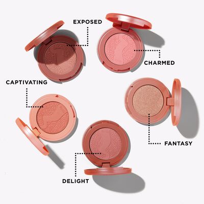 Amazonian Clay Cheek Set